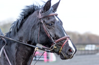Manor Grange 29/01/2017