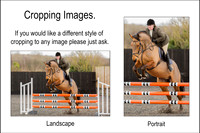 7.