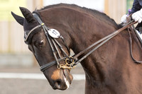 _MGL1521