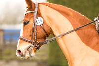 Competitor No.14