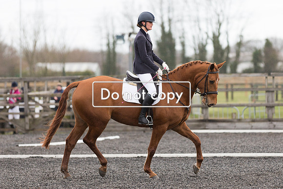 _54A1355