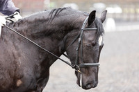 Competitor No.29