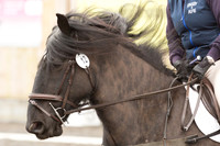 Competitor No.12