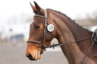 Competitor No.3
