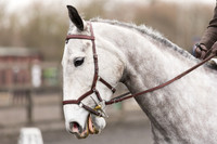 Bridle No. N/K A
