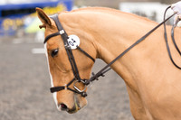 Competitor No.4