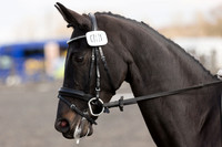 Competitor No.11