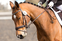 Competitor No.29