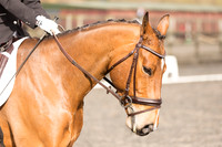 _54A2950