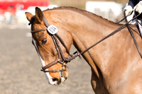 Competitor No.34