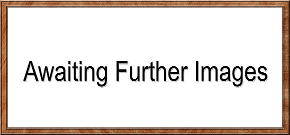 _Z-Uploading