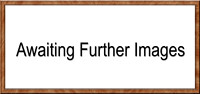 _Z-Uploading