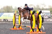 Bridle No.6
