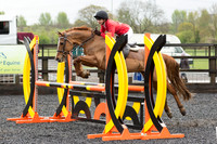 Bridle No.26