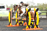 Bridle No.43