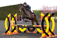 Bridle No.51