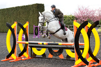 Bridle No.46