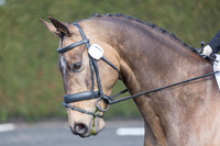 Bridle No.1