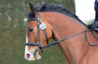 Bridle No.3
