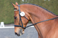 Bridle No.4