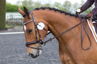 Bridle No.7