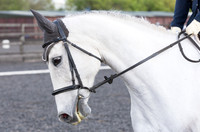 Bridle No.8