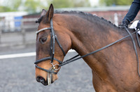 Bridle No.12