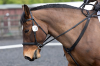 Bridle No.14