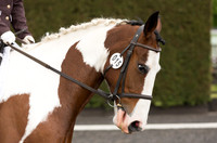 Bridle No.15
