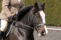 Bridle No.17