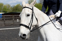 Bridle No.18