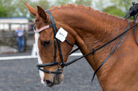 Bridle No.5