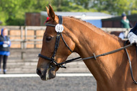 Bridle No.101