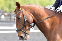 Bridle No.105