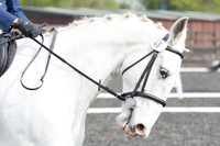 Bridle No.48