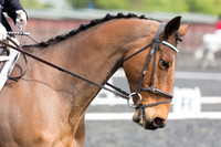 Bridle No.5
