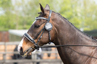 Bridle No.78