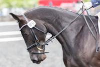 Bridle No.54