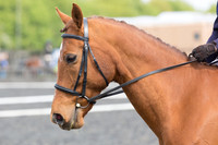 Bridle No.64