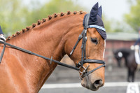 Bridle No.126