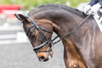 Bridle No.36