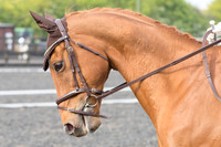 Bridle No.15
