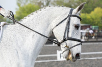 Bridle No.44
