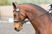 Bridle No.57