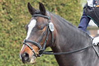 Bridle No.80
