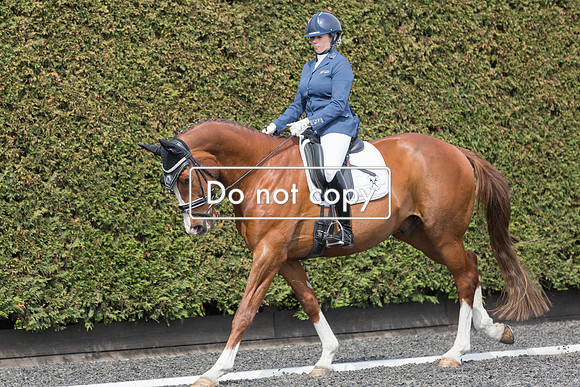 _54A2641
