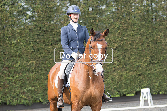 _54A2915