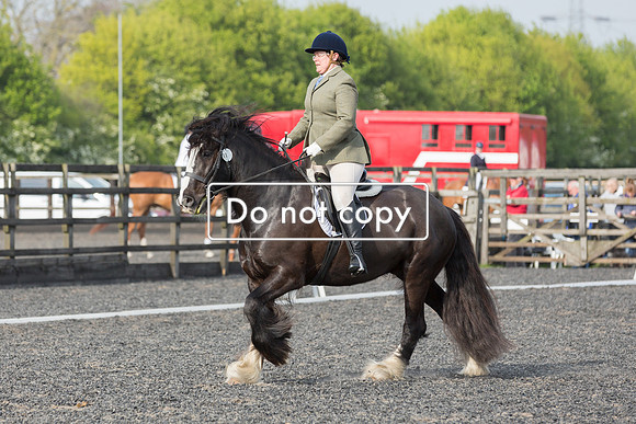 _54A3039