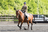 _MGL0909