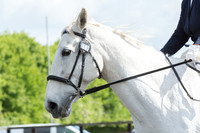 Bridle No.11